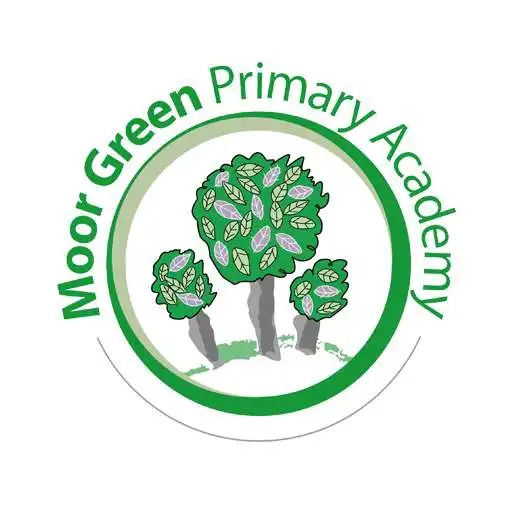 Play Moor Green Primary Academy APK