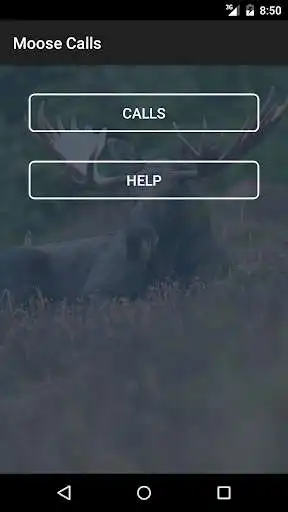 Play Moose Calls as an online game Moose Calls with UptoPlay