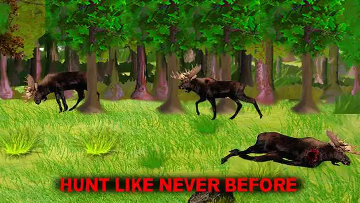 Play Moose Hunter