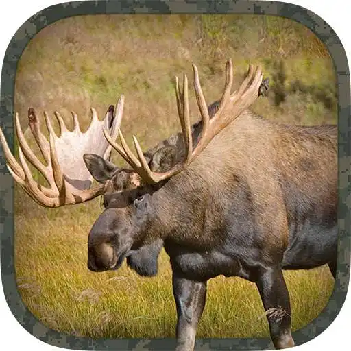 Free play online Moose Hunting Calls APK