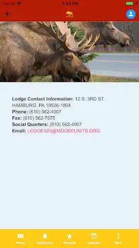 Play Moose Lodge #523  and enjoy Moose Lodge #523 with UptoPlay
