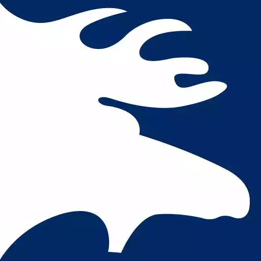 Free play online Moose Mobile APK