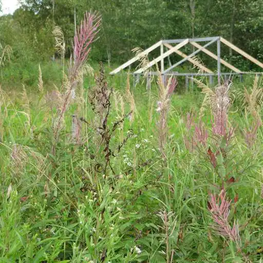 Play Moose River Tours APK