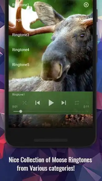 Play Moose Sounds
