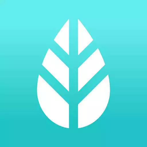 Play MoreApp Forms APK