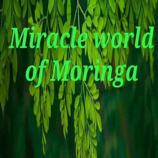 Play Moringa: The Miracle tree APK