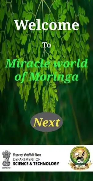 Play Moringa: The Miracle tree  and enjoy Moringa: The Miracle tree with UptoPlay