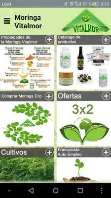 Play Moringa Vitalmor