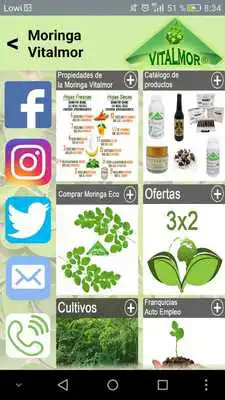 Play Moringa Vitalmor