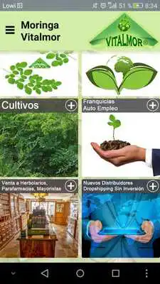 Play Moringa Vitalmor