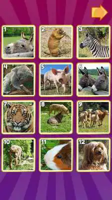 Play Mori Picture Puzzle