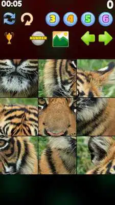 Play Mori Picture Puzzle