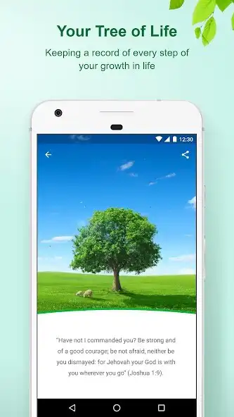 Play Morning Dew as an online game Morning Dew with UptoPlay