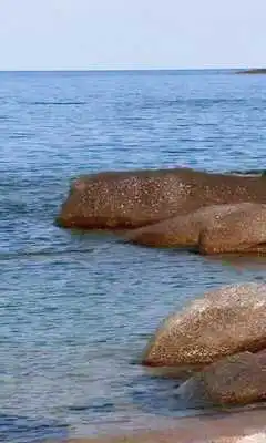 Play Morning sea-breeze
