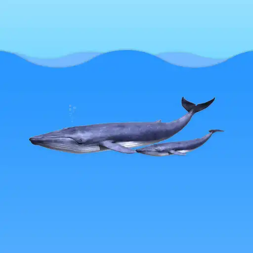Play Morski Labirynt AR APK Play Morski Labirynt AR APK