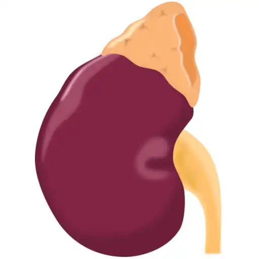 Play Mosa: Glomerular filtration rate APK