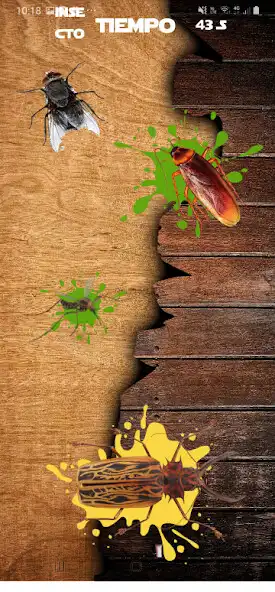 Play Mosca aplasta kill bugs games  and enjoy Mosca aplasta kill bugs games with UptoPlay