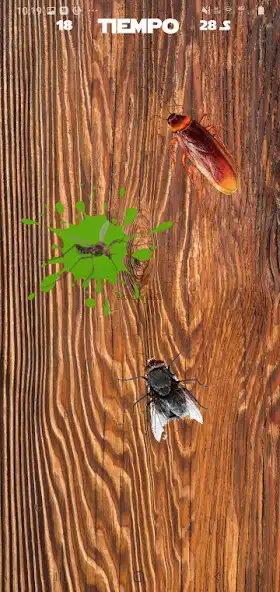 Play Mosca aplasta kill bugs games as an online game Mosca aplasta kill bugs games with UptoPlay