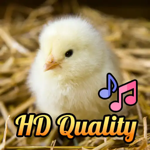 Play MOS - Chicks Sounds APK Play MOS - Chicks Sounds APK