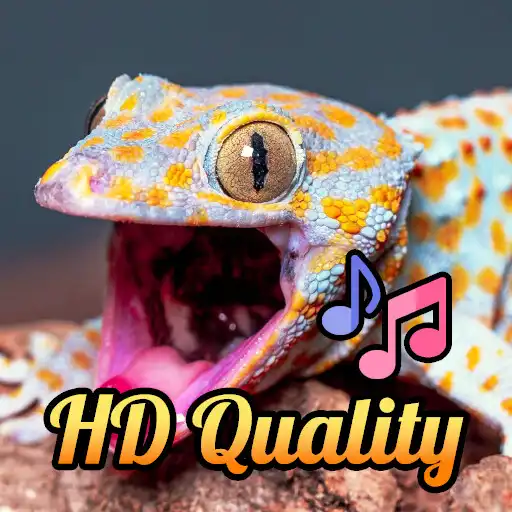 Play MOS - Gecko Sounds APK Play MOS - Gecko Sounds APK