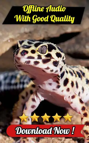 Play MOS - Gecko Sounds as an online game MOS - Gecko Sounds with UptoPlay