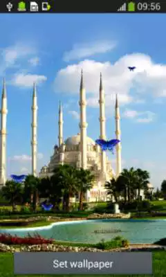 Play Mosques Live Wallpapers