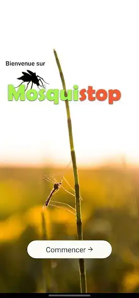 Play Mosquistop  and enjoy Mosquistop with UptoPlay