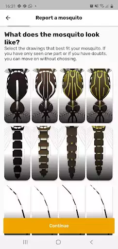 Play Mosquito Alert as an online game Mosquito Alert with UptoPlay