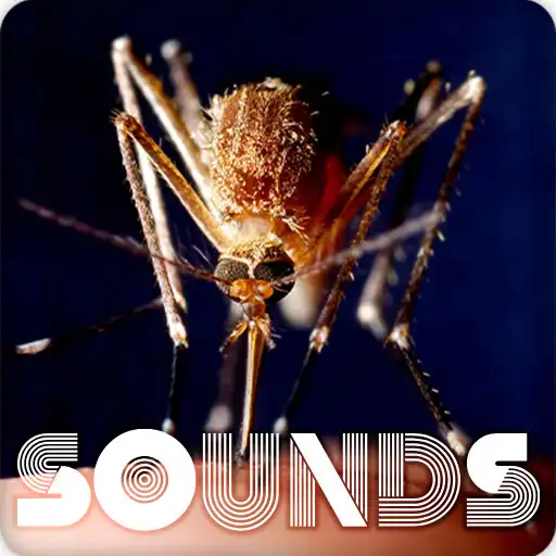 Play Mosquito Sound Ringtones APK