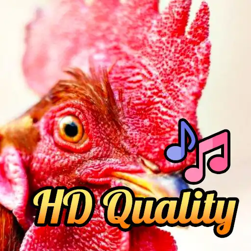 Play MOS - Rooster Sounds APK Play MOS - Rooster Sounds APK