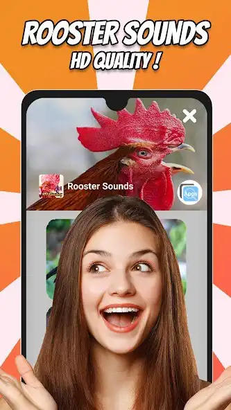 Play MOS - Rooster Sounds as an online game MOS - Rooster Sounds with UptoPlay