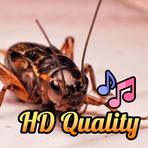 Play MOS - Suara Jangkrik APK Play MOS - Suara Jangkrik APK