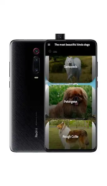 Play Most beautiful dogs and enjoy Most beautiful dogs with UptoPlay Play Most beautiful dogs and enjoy Most beautiful dogs with UptoPlay