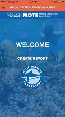 Play MOTE Beaches Reporter