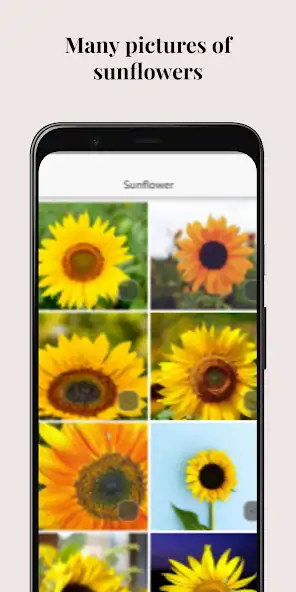 Play Mothers Day Amazing Flowers as an online game Mothers Day Amazing Flowers with UptoPlay