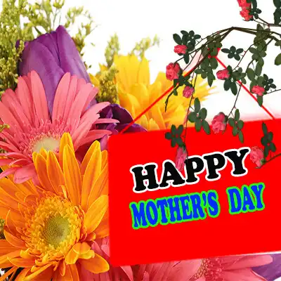 Play Mothers Day Flower Wishes as an online game online Mothers Day Flower Wishes with UptoPlay Play Mothers Day Flower Wishes as an online game Mothers Day Flower Wishes with UptoPlay