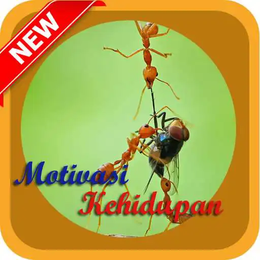 Play Motivasi Kehidupan APK Play Motivasi Kehidupan APK