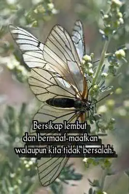 Play Motivasi Perkembangan Diri
