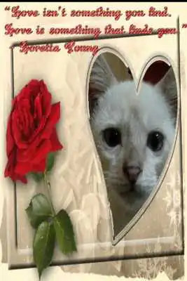 Play Motivational Frames  Images