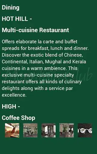 Play Mountain Club Resort Munnar