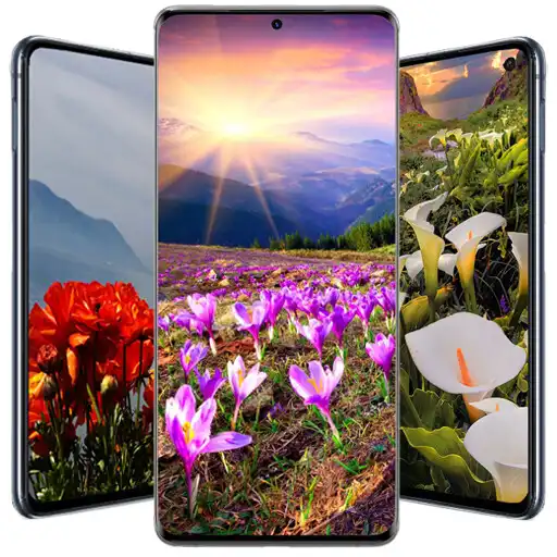 Play Mountain Flowers live wallpaper APK Play Mountain Flowers live wallpaper APK
