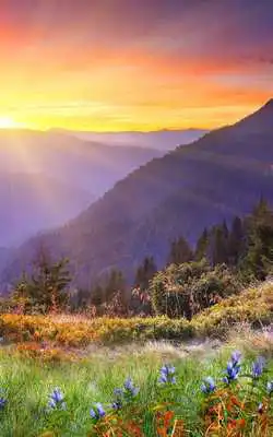 Play Mountains Live Wallpaper