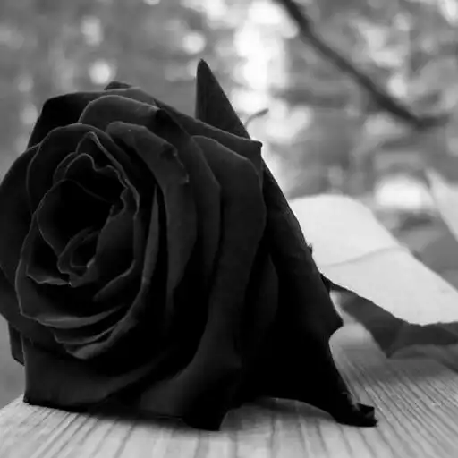 Play Mourning Images APK Play Mourning Images APK