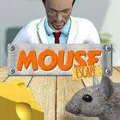 Free play online Mouse Escape 3D Labyrinth Maze APK