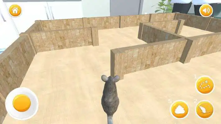 Play Mouse Escape 3D Labyrinth Maze