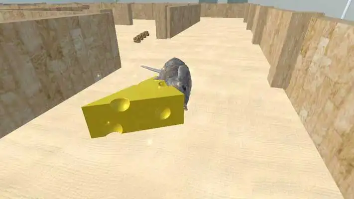 Play Mouse Escape 3D Labyrinth Maze