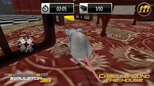 Play Mouse in Home Simulator 3D  and enjoy Mouse in Home Simulator 3D with UptoPlay