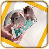 Free play online Mouse On Screen Joke APK Free play online Mouse On Screen Joke APK