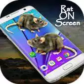 Free play online Mouse on Screen Prank APK