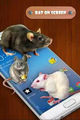 Play Mouse on Screen Prank